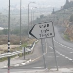 Tekoa road sign